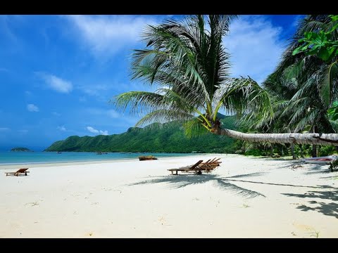 Con Dao Islands- Vietnam || #18